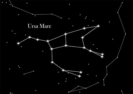 Ursa mare