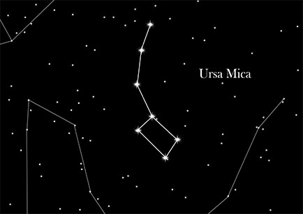 Ursa mică